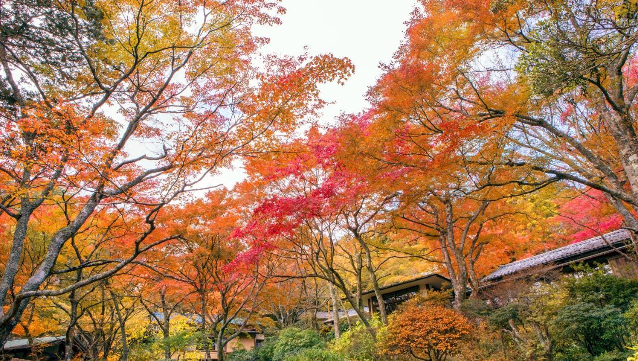 Gora Kansuiro Hakone Bagian luar foto